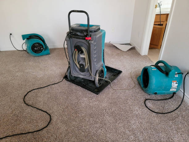 Best 24/7 water damage repair  in Rosebud, TX