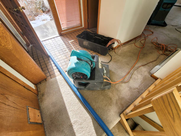 Best Local water damage restoration  in Rosebud, TX