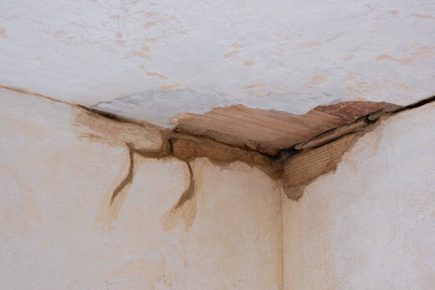 Water damage restoration experts in Rosebud, TX