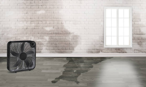 Water damage restoration experts in Rosebud, TX