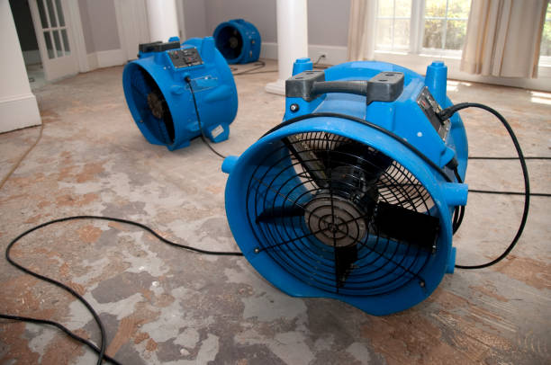Best Water damage restoration near me  in Rosebud, TX