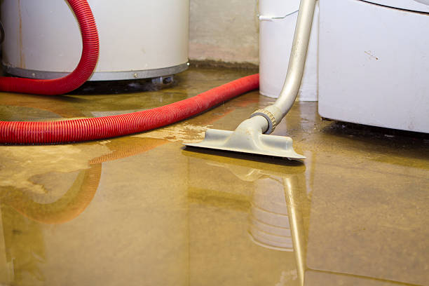 Best Emergency water extraction  in Rosebud, TX