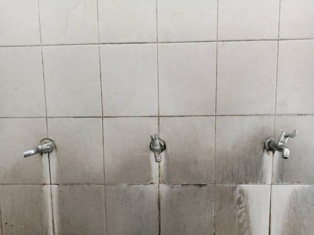 Best Flood damage cleanup  in Rosebud, TX