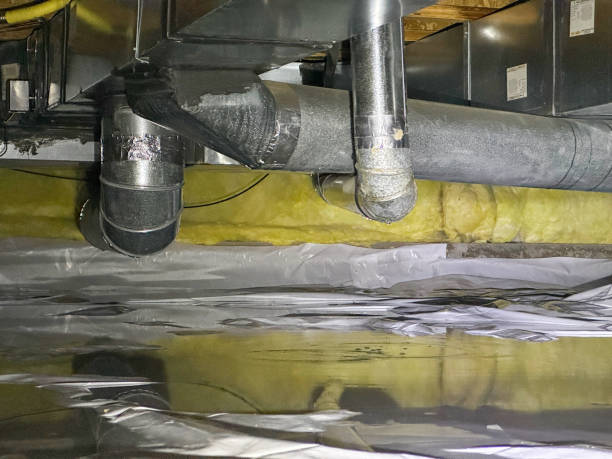 Best Local water damage restoration  in Rosebud, TX