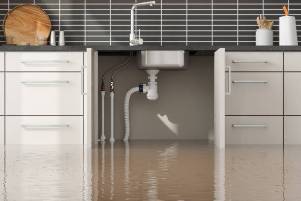 Best Flooded house restoration  in Rosebud, TX
