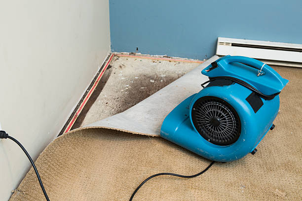 Best Water damage restoration services  in Rosebud, TX